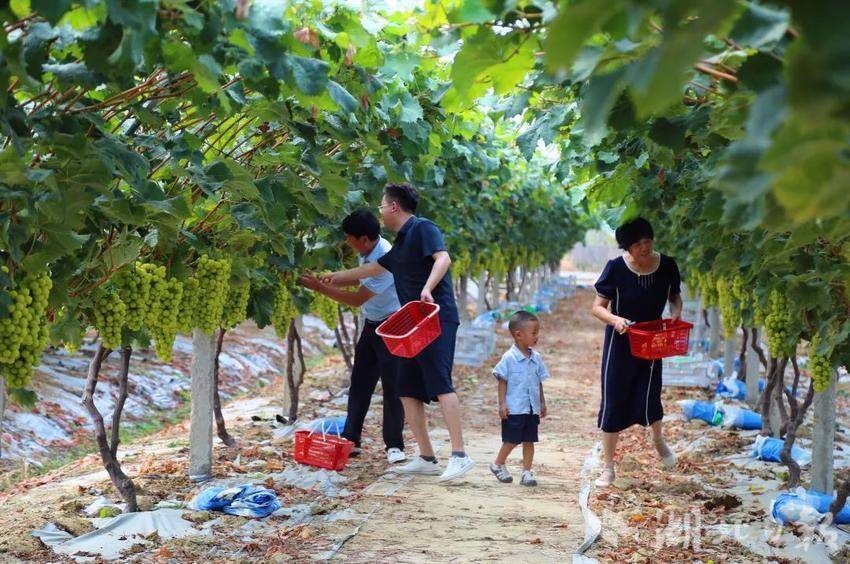 巴厘岛平台登录地址